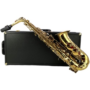 The Woodwind Co. Saxophone With Case