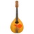Republican Industrial Association Russian Mandolin