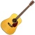 Johnson JG-D 35-N Natural Finish Acoustic Guitar