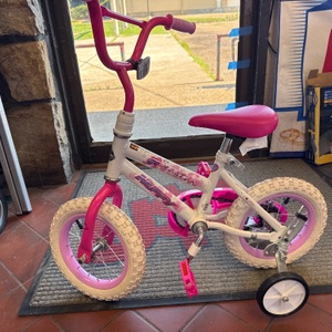 SEASTAR BIKE WITH TRAINING WHEELS