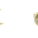 14KT Yellow Gold Crescent Moon with Round Cut Cubic Zirconia CZ Stud Earrings 