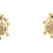 14KT Yellow Gold 3D Turtle Round Lab Created Ruby Detailed Stud Earrings - 1.4g