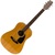 Fender Gemini II Natural Finish Acoustic Guitar