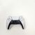 PS5 Controller 