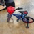 Huffy 51984 kids spiderman bike