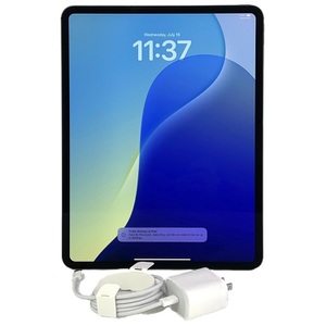 Apple iPad Pro 13-inch M4 NVXR3LL/A 256GB Tablet With Charger