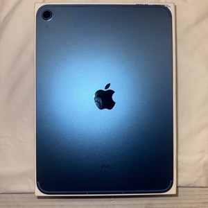 Apple IPAD 10TH Generation