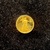 American Eagle 1/10 OZ $5 22KT Gold Coin