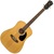 Arcadia DL38 3/4-Size Natural Finish Acoustic Guitar