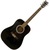 Johnson JG-620-B Black Finish Acoustic Guitar