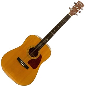 Ibanez Artwood AW100 Natural Finish Acoustic Guitar