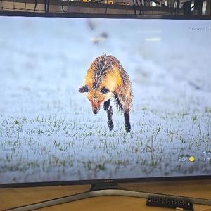 Samsung 49in 4k FHD Smart TV