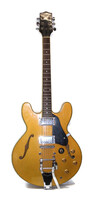 Sanatoga Semi Hollow Body Electric Guitar