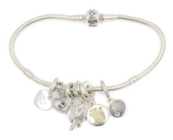Pandora Moments Sterling Silver Snake Chain 925 Bracelet 7.5" with 6 Charms  