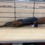 Pioneer Arms Corp Sporter 7.62x39MM Semi Automatic Rifle