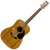 Sunlite GD-1800G Natural Finish Acoustic-Electric Guitar
