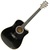 Esteban ALC-200 Black Finish Acoustic-Electric Double Cutaway Guitar