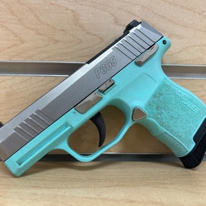 Sig Sauer P365-380 .380ACP Semi Automatic Pistol 