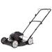 Murray 21 in. 140 cc Briggs and Stratton Walk Behind Gas Push Lawn Mower