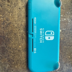 NINTENDO HDH-001 / SWITCH LITE