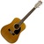 Fender F-55-22 12 String Acoustic Guitar