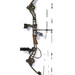 Matthews conquest II/solo cam