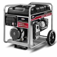 Briggs and Stratton 030430