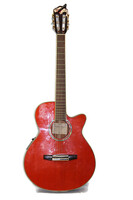 Ibanez aeg10ne-tng-14-01 Classical Guitar