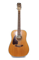 Ibanez pf5l-nt-14-06 Acoustic Guitar