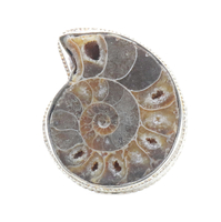 Estate RARE! Sterling Silver Unique 925 Ammonite Fossil Statement Ring - 14.2g