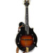 The Loar LM-700-vs Mandolin with Hard Case