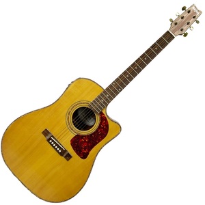 Washburn DK20CET Dreadnought Acoustic-Electric Guitar 