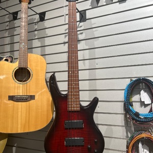 Ibanez GSR205SM 5 String Bass Guitar