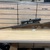 SAVAGE ARMS INC 93 22WMR Bolt Action Rifle- W/Bushnell Scope