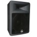 PEAVEY PR NEO 15 15" PA Speaker